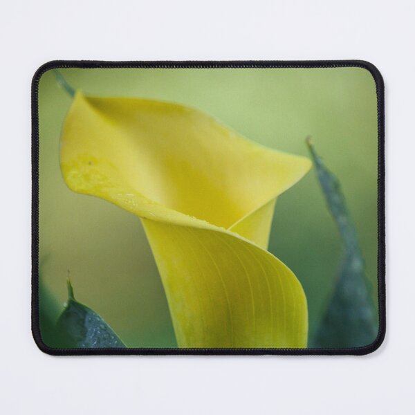Item preview, Calla Lily Memories designed and sold by Gardenographer.