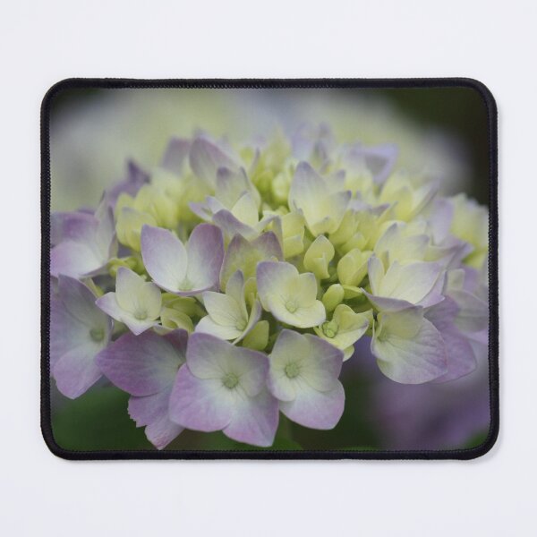 Item preview, Hydrangea 7 designed and sold by Gardenographer.
