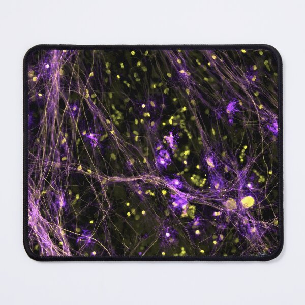 Item preview, DRGs Series: Purple Vines designed and sold by MicroLife-DSG.