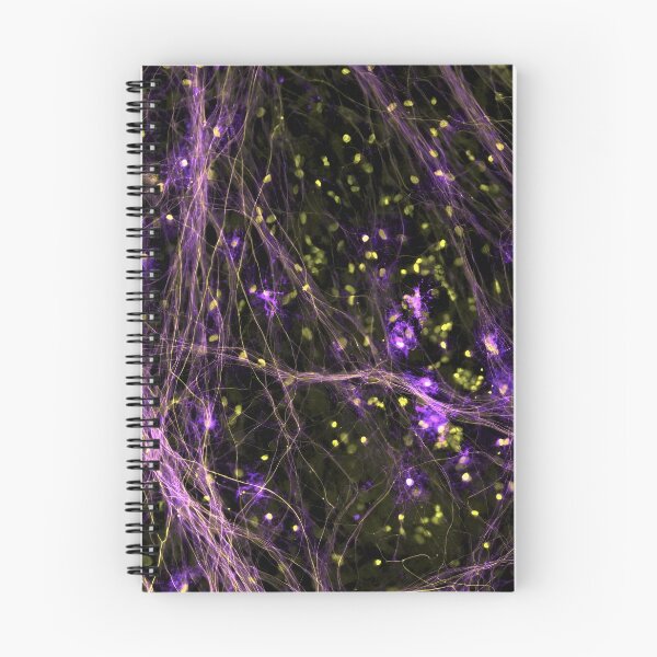Item preview, DRGs Series: Purple Vines designed and sold by MicroLife-DSG.