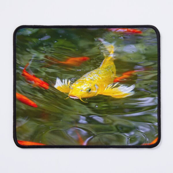 Item preview, Orange & Yellow Koi designed and sold by Gardenographer.