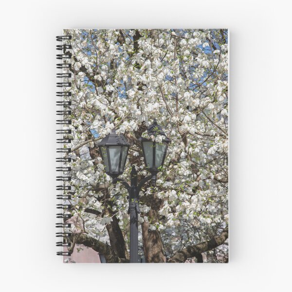 Item preview, Spring in the park designed and sold by DanRaizPhoto.