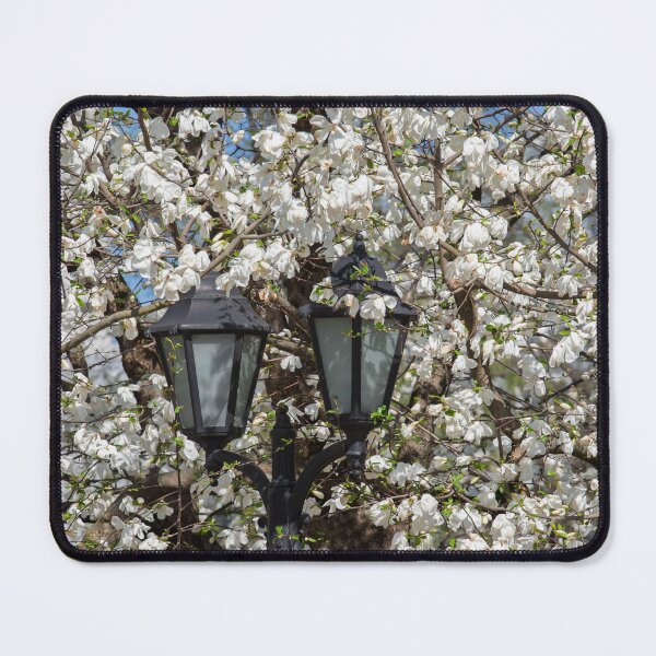 Item preview, Spring in the park designed and sold by DanRaizPhoto.