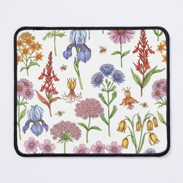Item preview, Connecticut's Hidden Garden: Unveiled designed and sold by TJ Art and Camera.