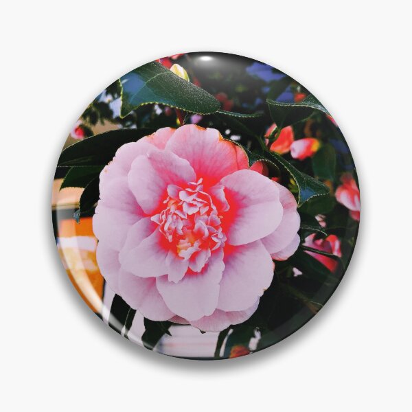 Item preview, Peruse designed and sold by JMT Designs.