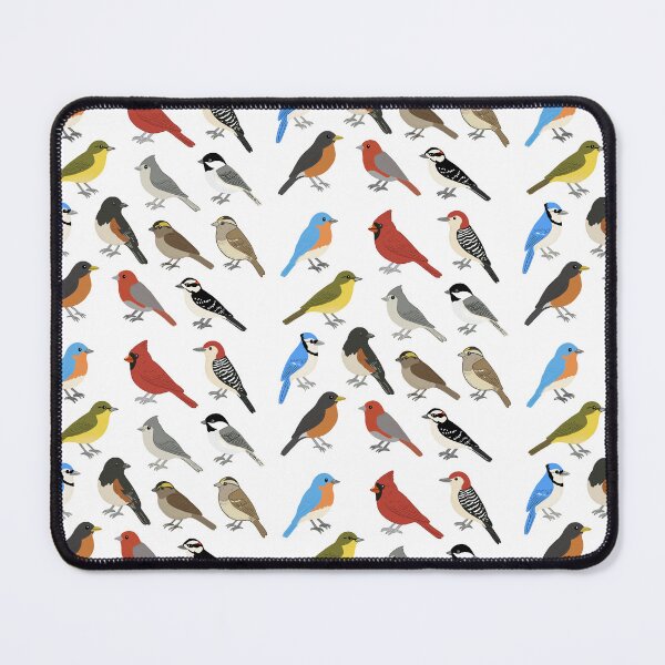 Item preview, Common Birds of the Eastern US – Backyard Bird Sticker Set designed and sold by RivendellBird.