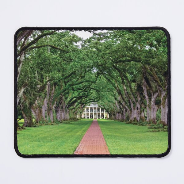 Item preview, Oak Alley Plantation Panorama designed and sold by Kay Brewer.