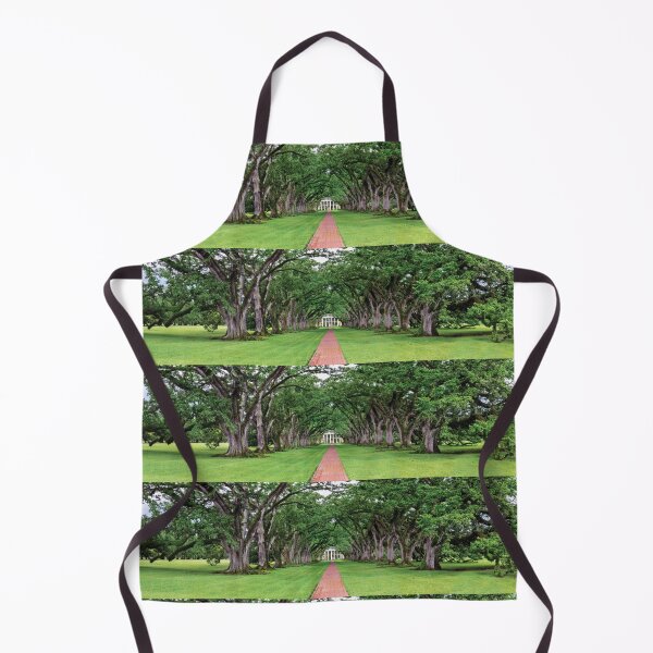 Item preview, Oak Alley Plantation Panorama designed and sold by Kay Brewer.
