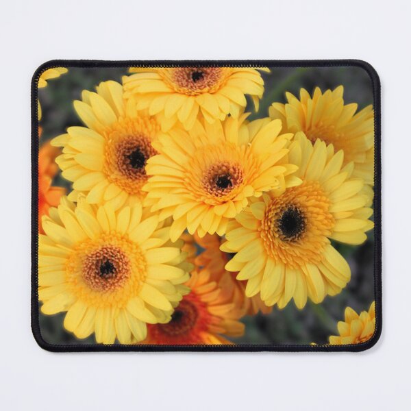 Item preview, Cheerful Gerbera's designed and sold by Ivy's Creations.