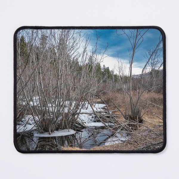 Item preview, Pause in the Frost designed and sold by WrightDesignsUS.