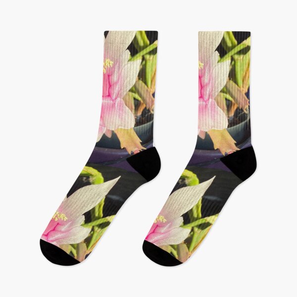 Item preview, Pink Christmas Cactus in Bloom designed and sold by TrisaThyme.
