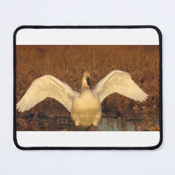 Item preview, Tundra Swan designed and sold by kimbarose.