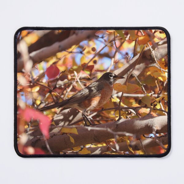 Item preview, American robin perching among the autumn leaves designed and sold by WolfRaven Creations.
