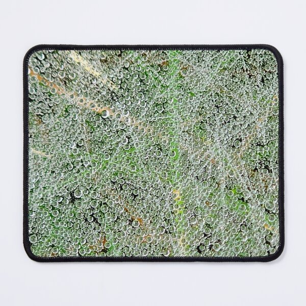Item preview, Dew-covered Spiderweb designed and sold by bjtomiko.