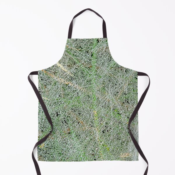 Item preview, Dew-covered Spiderweb designed and sold by bjtomiko.