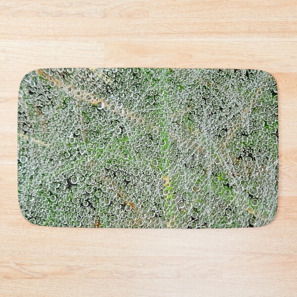Item preview, Dew-covered Spiderweb designed and sold by bjtomiko.
