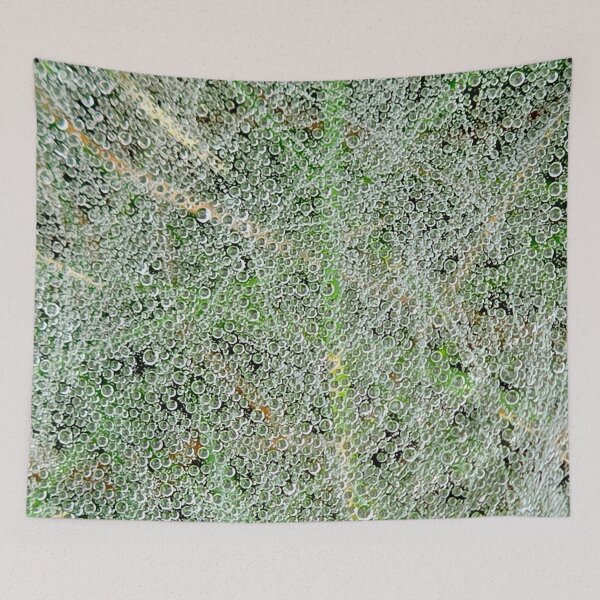 Item preview, Dew-covered Spiderweb designed and sold by bjtomiko.
