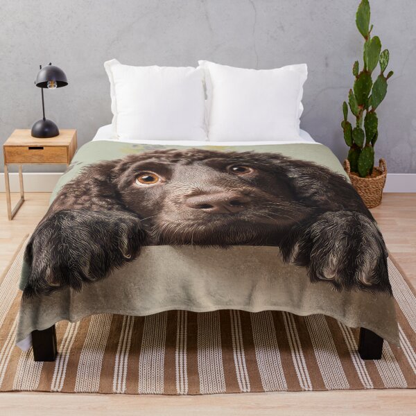 Item preview, American Water Spaniel Peeking over Wall 01 designed and sold by Elisabeth Lucas.