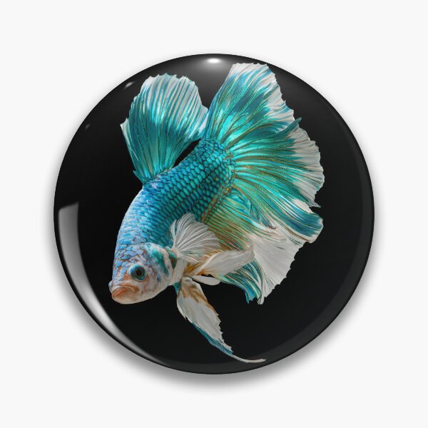 Item preview, Teal Blue & White Betta Siamese Fighting Fish, Turquoise Blue Veiltail / Halfmoon Rosetail Turquoise Galaxy Marble designed and sold by meganohm.