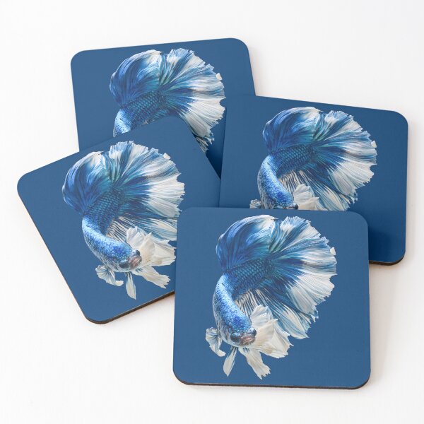 Item preview, Royal Blue & White Betta Siamese Fighting Fish, Blue White Veiltail / Halfmoon / Butterfly / designed and sold by meganohm.