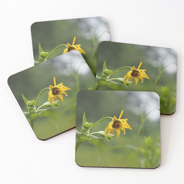 Item preview, Rain-drenched Flower designed and sold by GlimpseBeauty11.