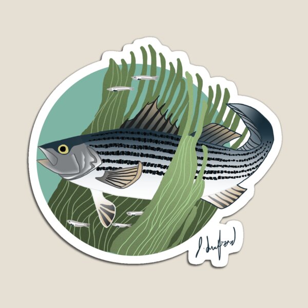 Item preview, Striped Bass  designed and sold by jswinford.