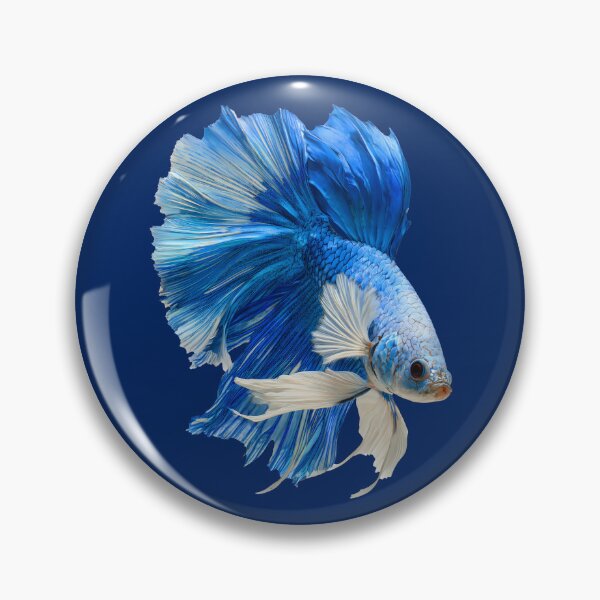 Item preview, Sky Marble Halfmoon Betta Fish with Blue and White Marking Siamese Fighting Fish designed and sold by meganohm.