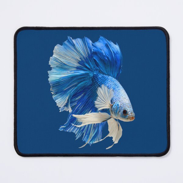 Item preview, Sky Marble Halfmoon Betta Fish with Blue and White Marking Siamese Fighting Fish designed and sold by meganohm.