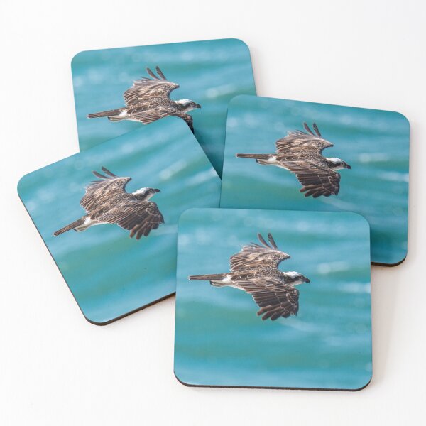 Item preview, Osprey designed and sold by RewildJane.