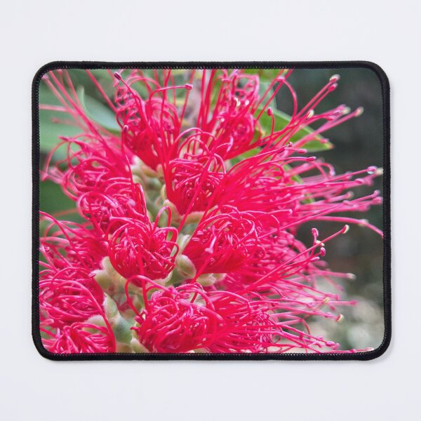 Item preview, Red Bloom Magic designed and sold by Betsy Phillips.