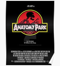 Anatomy Park Poster Poster