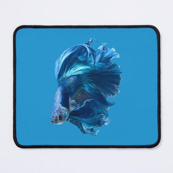 Item preview, Vivid Blue Halfmoon Betta Siamese Fighting Fish, Electric Blue Iridescent designed and sold by meganohm.
