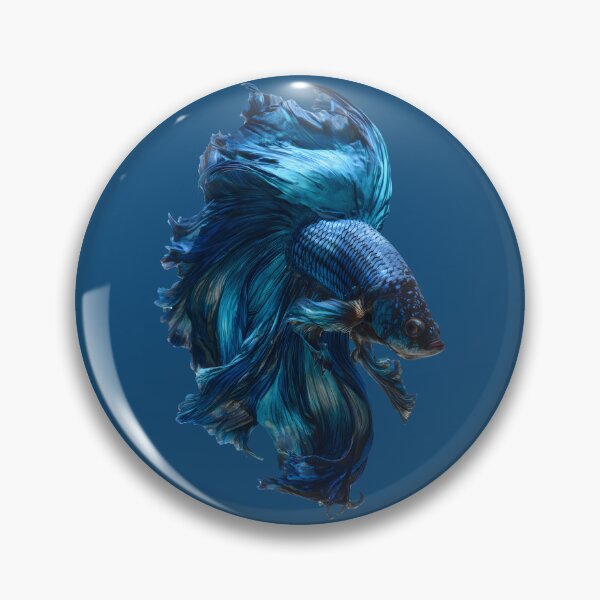 Item preview, Midnight Blue Betta Fish Siamese Fighting Fish, Dark Blue Veiltail with Metallic Shimmer designed and sold by meganohm.