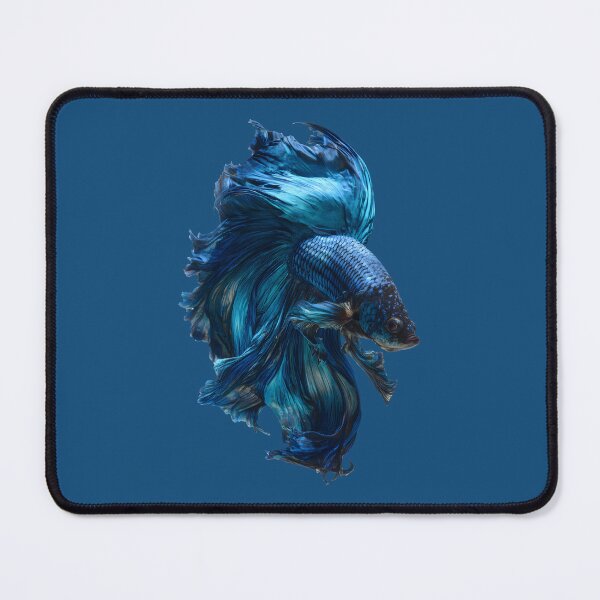 Item preview, Midnight Blue Betta Fish Siamese Fighting Fish, Dark Blue Veiltail with Metallic Shimmer designed and sold by meganohm.