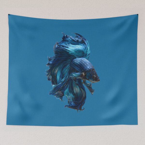 Item preview, Midnight Blue Betta Fish Siamese Fighting Fish, Dark Blue Veiltail with Metallic Shimmer designed and sold by meganohm.
