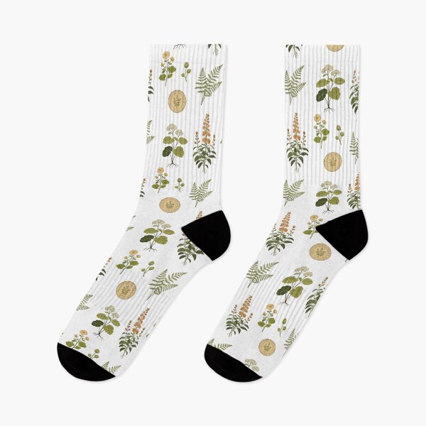 Item preview, Vintage Botanical Herbology Collection | Cottagecore Wildflower & Fern Illustration Pack designed and sold by Cherrydora.
