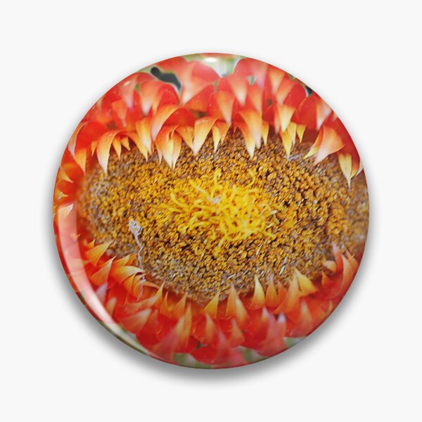 Item preview, Paper Daisy Macro designed and sold by Larry Davis.
