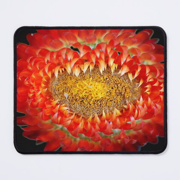 Item preview, Paper Daisy Macro designed and sold by Larry Davis.