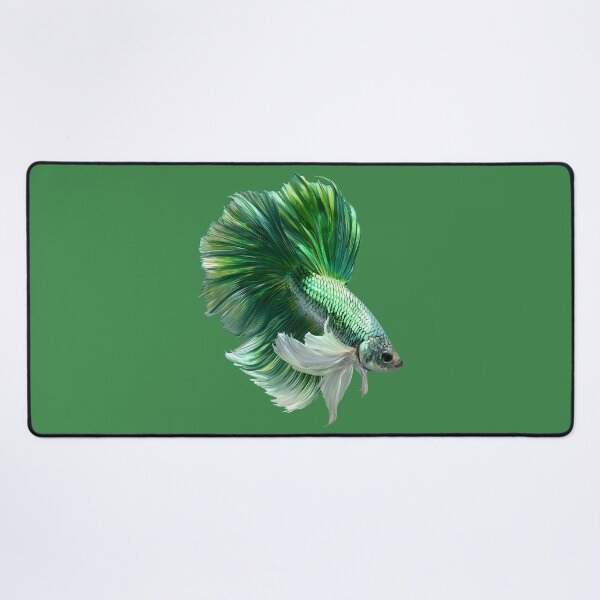 Item preview, Emerald Green Betta Siamese Fighting Fish with Flowing White Fins Halfmoon designed and sold by meganohm.