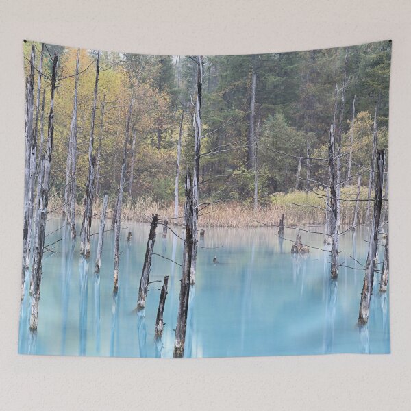 Item preview, Biei's Blue Pond designed and sold by Mark Prior.