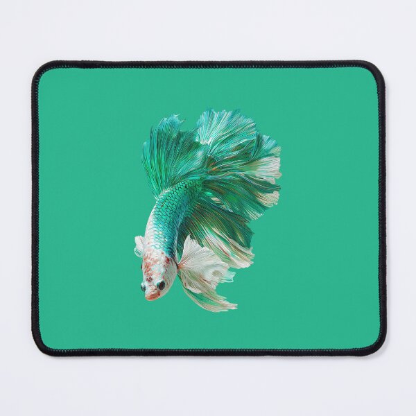 Item preview, Seafoam Green White Betta Siamese Fighting Fish with Butterfly Pattern Fins designed and sold by meganohm.