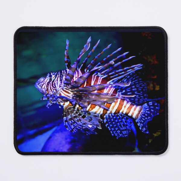 Item preview, Vibrant Lionfish in Aquarium designed and sold by Savannah Gibbs.