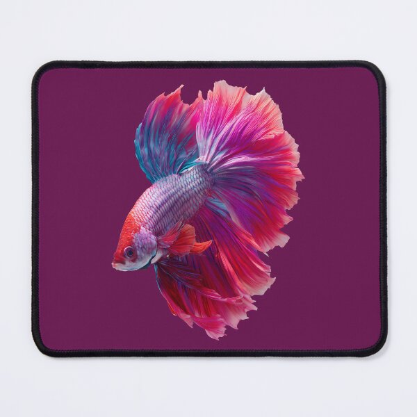 Item preview, Crimson Orchid Betta Siamese Fighting Fish with Flowing Red and Purple Fins designed and sold by meganohm.