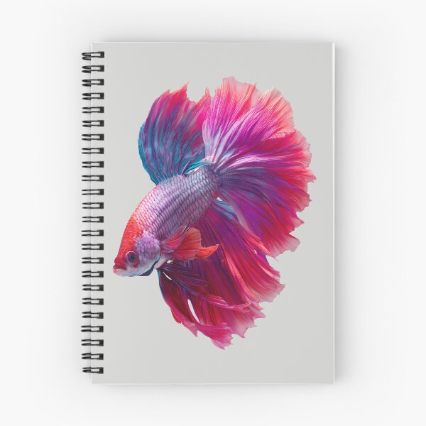 Item preview, Crimson Orchid Betta Siamese Fighting Fish with Flowing Red and Purple Fins designed and sold by meganohm.