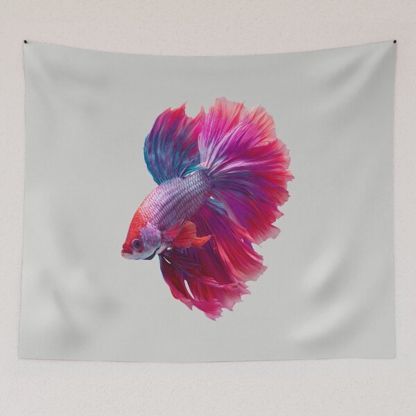 Item preview, Crimson Orchid Betta Siamese Fighting Fish with Flowing Red and Purple Fins designed and sold by meganohm.