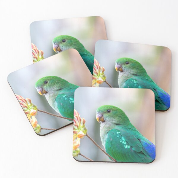 Item preview, King Parrot Love designed and sold by bella photoaus.