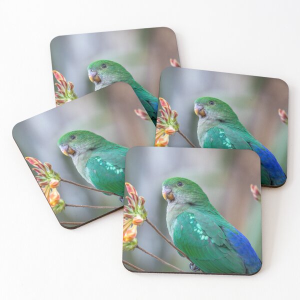 Item preview, King Parrot Love designed and sold by bella photoaus.