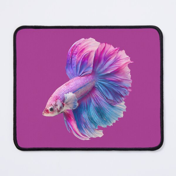 Item preview, Pink & Blue Pastel Marble Halfmoon Betta Cotton Candy Betta Siamese Fighting Fish designed and sold by meganohm.