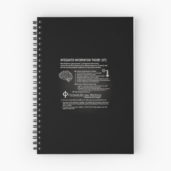 Item preview, Information Theory | Blsckboard designed and sold by NeuroNotes.