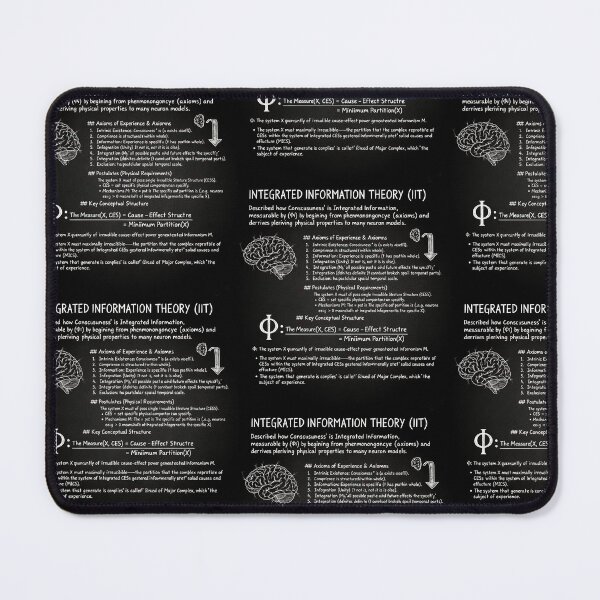 Item preview, Information Theory | Blsckboard designed and sold by NeuroNotes.
